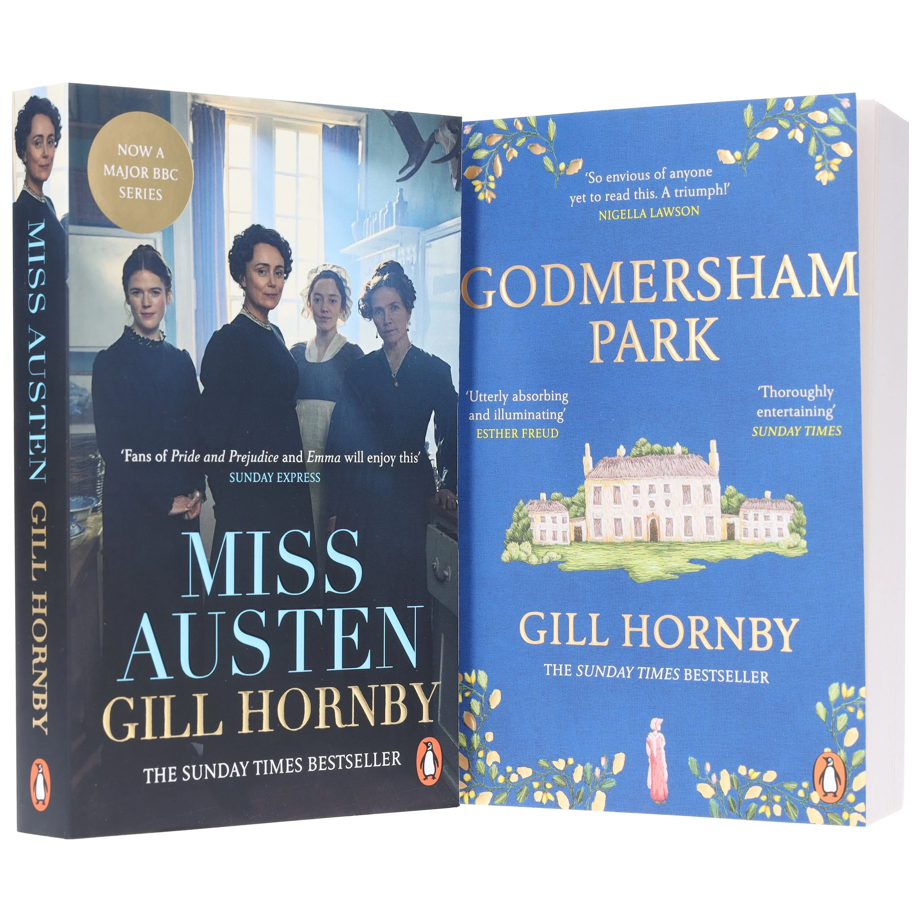 Miss Austen & Godmersham Park by Gill Hornby 2 Books Collection Set - Fiction - Paperback - Image 4