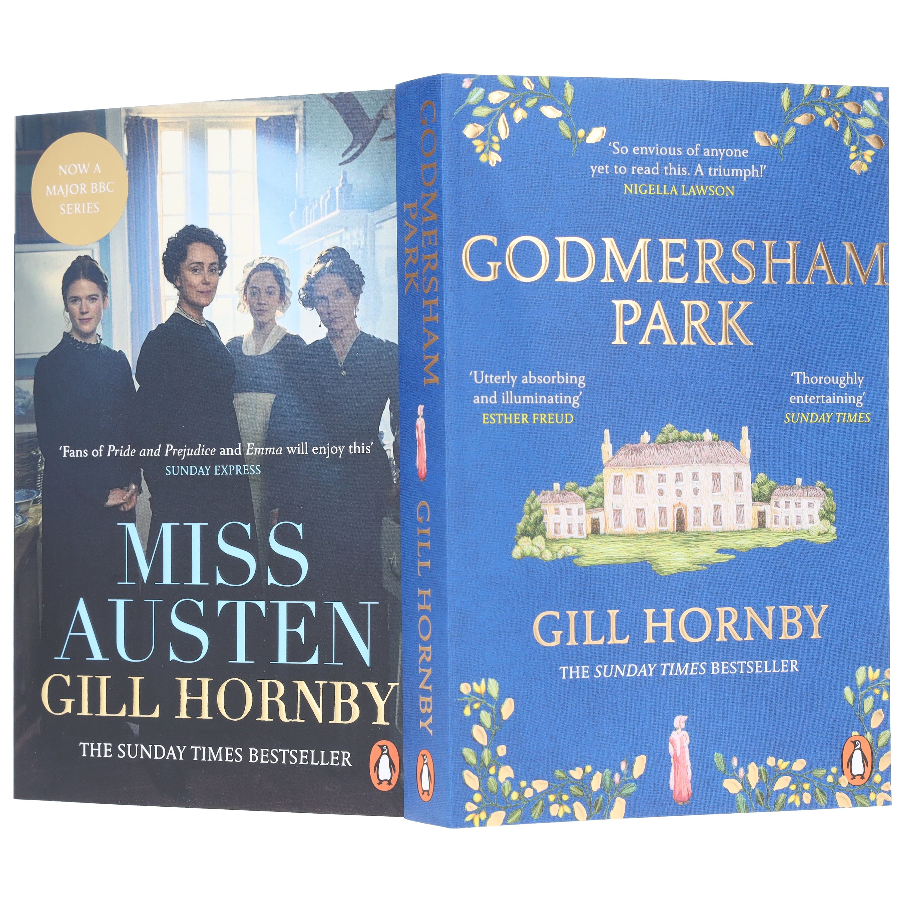 Miss Austen & Godmersham Park by Gill Hornby 2 Books Collection Set - Fiction - Paperback - Image 5