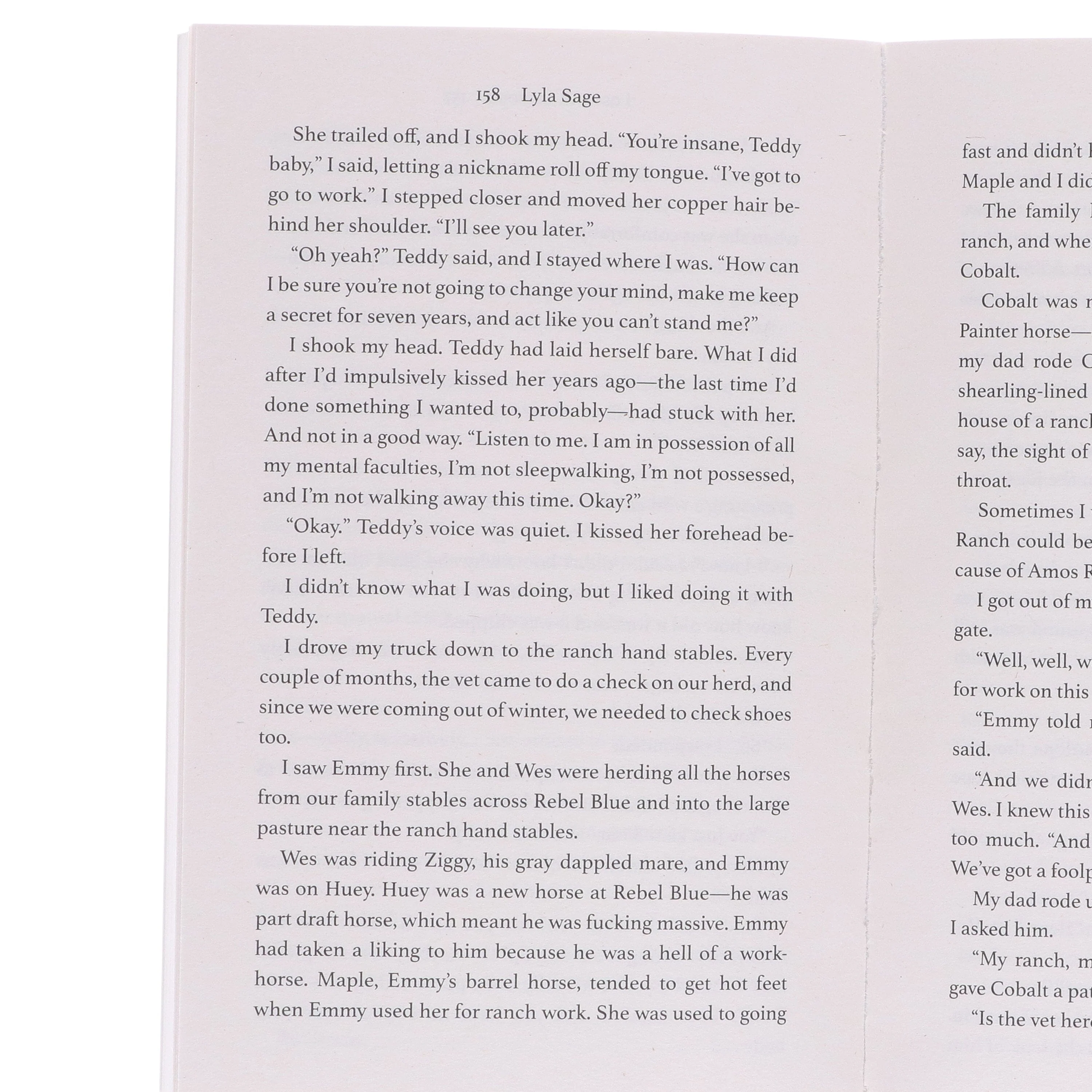 Rebel Blue Ranch Series by Lyla Sage: 4 Books Collection Set - Fiction - Paperback - Image 9