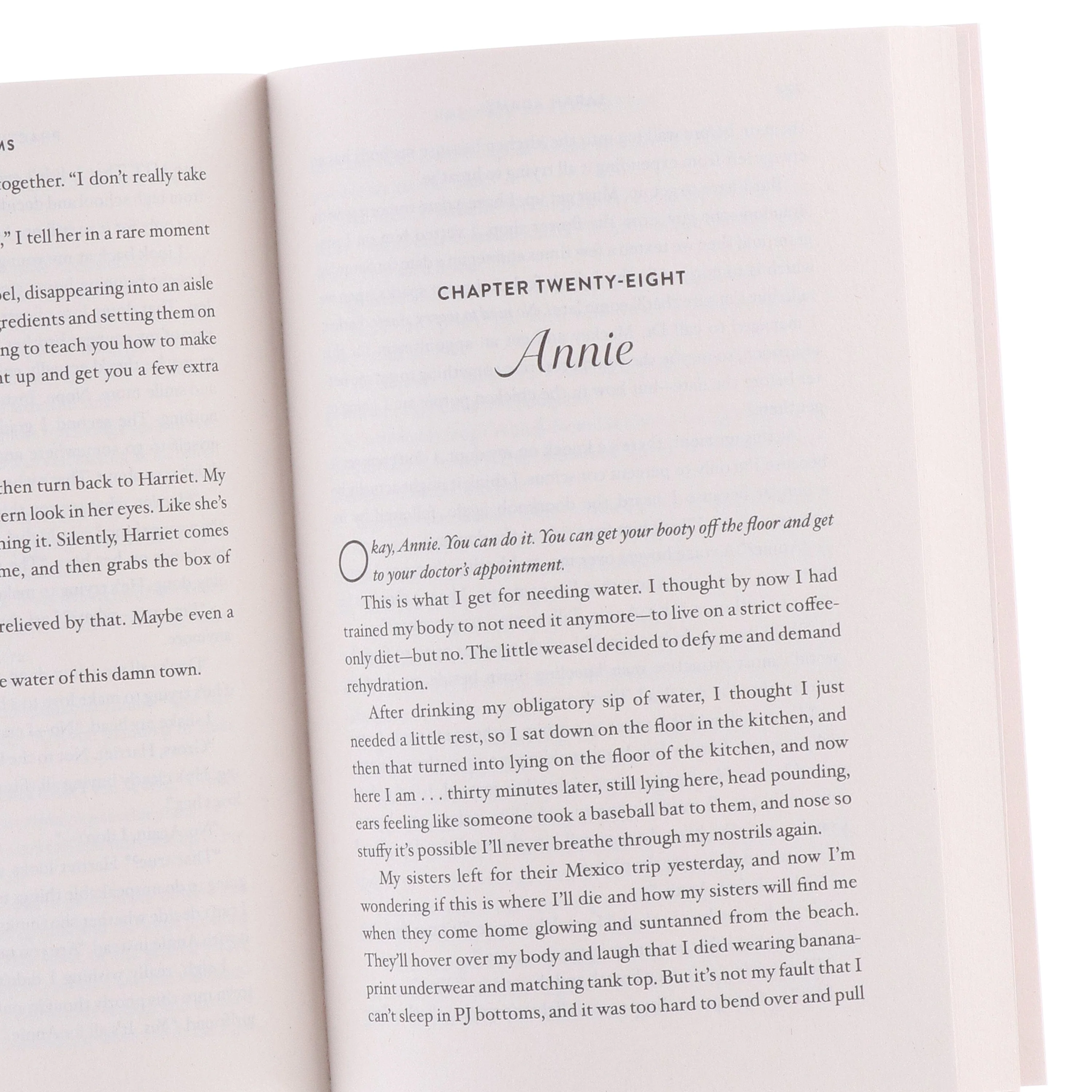 Sarah Adams Collection (The Cheat Sheet, When in Rome, Practice Makes Perfect & Beg, Borrow, or Steal) 4 Books Set - Fiction - Paperback - Image 6