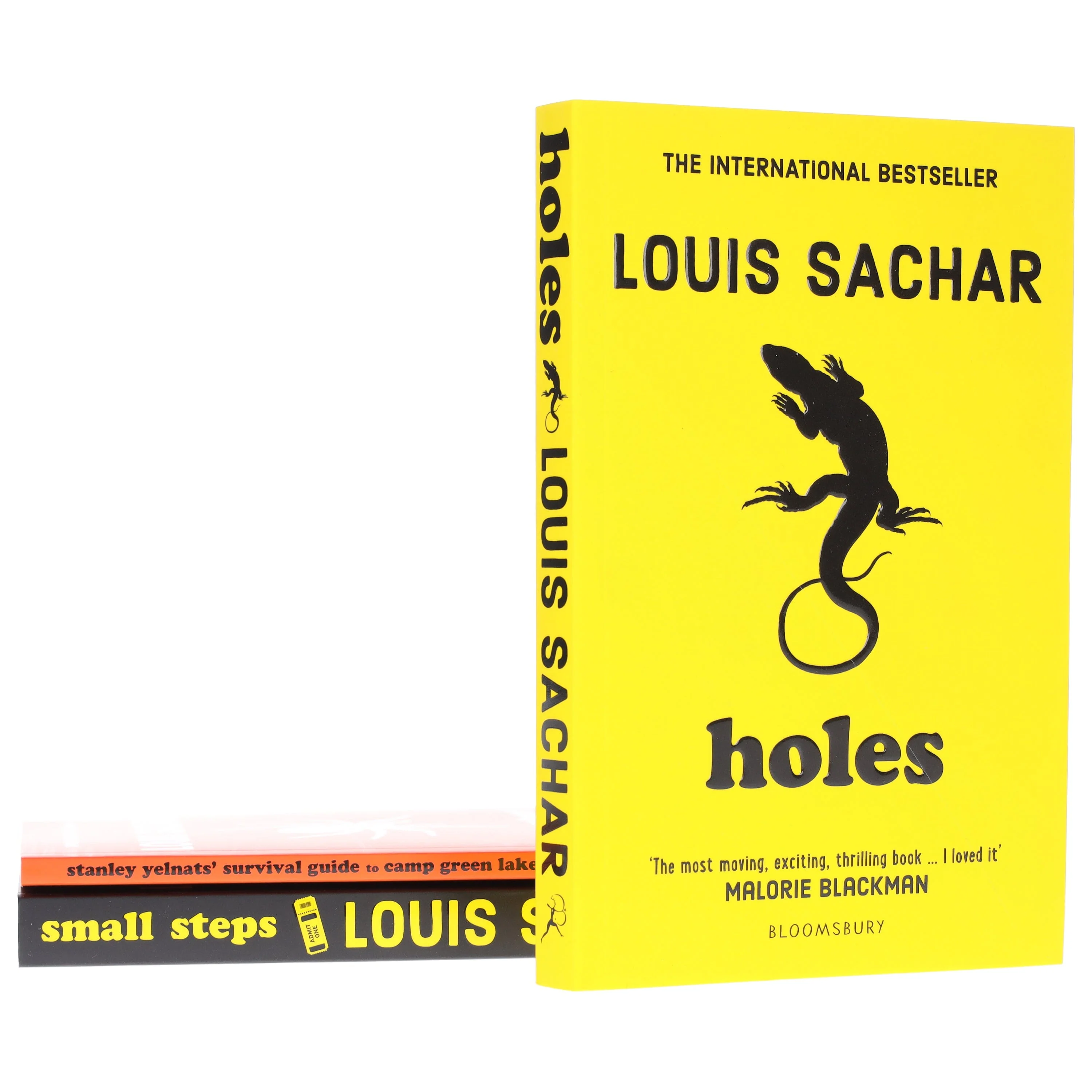 The Holes Series by Louis Sachar 3 Books Collection Set - Ages 9-11 - Paperback - Image 5