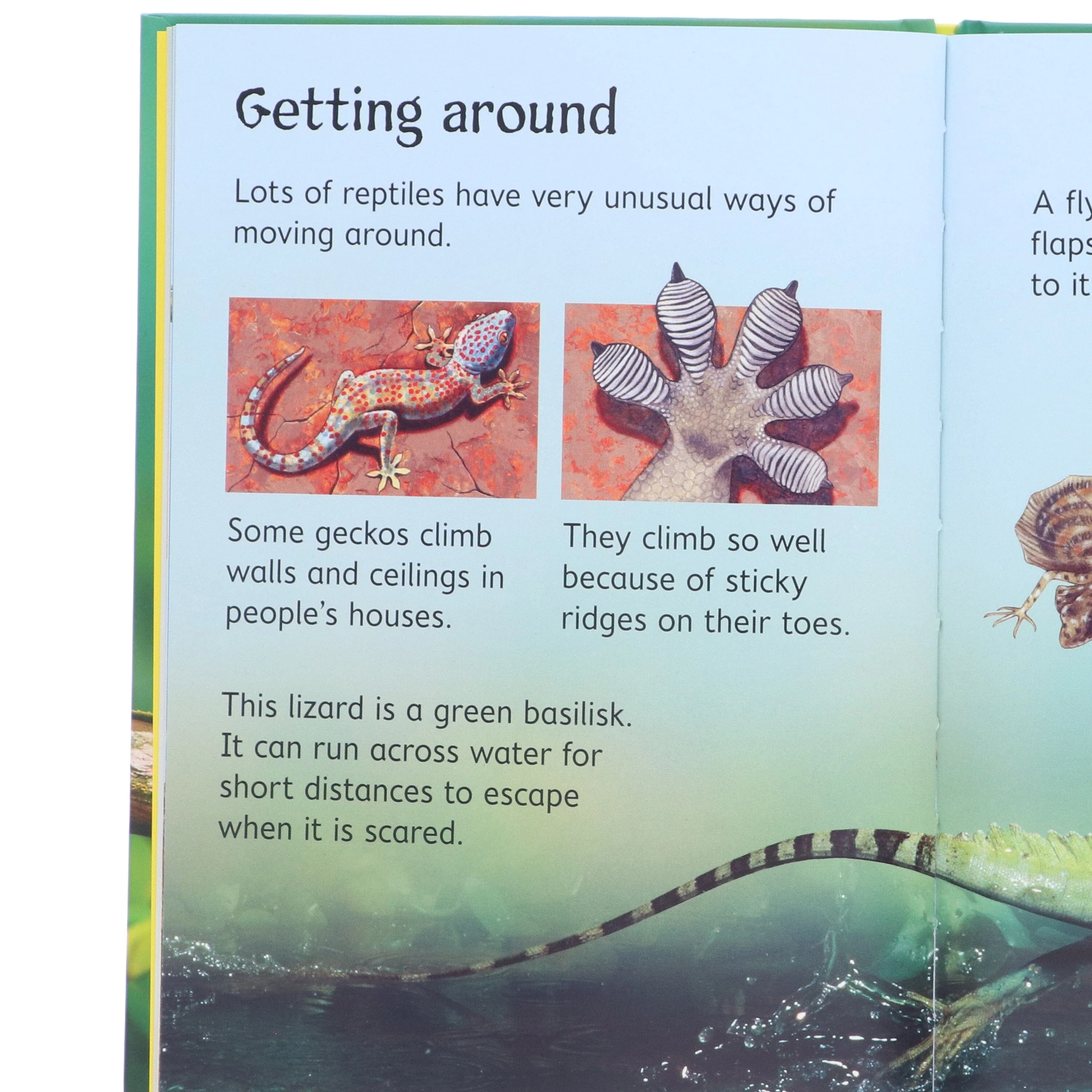 Usborne Beginners Series 20 Books Collection Box Set (Nature & Science) - Ages 4-10 - Hardback - Image 11